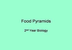 Pyramids Powerpoint Presentation