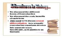 Sexual Differentiation PowerPoint Presentation