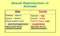 Sexual Reproduction In Animals PowerPoint Presentation