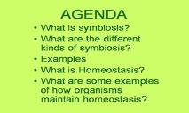 Symbiosis And Homeostasis PowerPoint Presentation
