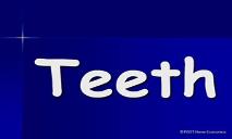 Teeth PowerPoint Presentation