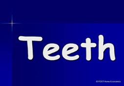 Teeth Powerpoint Presentation