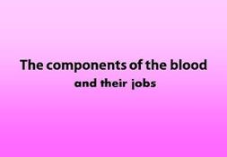 The Components Of The Blood Powerpoint Presentation