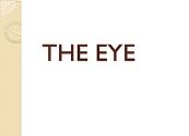The Eye Powerpoint Presentation
