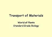 Transport In Plants Powerpoint Presentation
