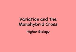 Variation And The Monohybrid Cross Powerpoint Presentation