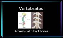 Vertebrates PowerPoint Presentation