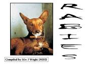 Virus Rabies Powerpoint Presentation