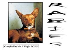 Virus Rabies Powerpoint Presentation