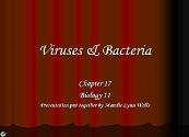 Viruses Powerpoint Presentation
