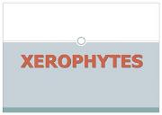 Xerophytes Powerpoint Presentation