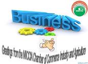 Best international business information services in India Powerpoint Presentation