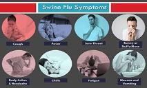 Swine Flu Symptoms PowerPoint Presentation