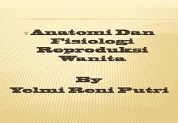 ANATOMI REPRODUKSI WANITA PowerPoint Presentation
