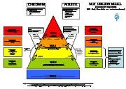 National Obesity Forum Powerpoint Presentation