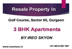 3 BHK Resale Ireo Skyon Apartment Powerpoint Presentation