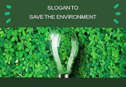 Save The Enivornment PowerPoint Presentation
