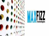 Web Development Company in Jaipur-Maxfizz Powerpoint Presentation