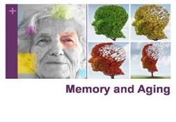 Memory and Aging Powerpoint Presentation