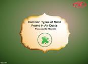 Common Types Of Mold Found In Air Ducts Powerpoint Presentation