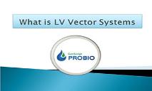 What is LV Vector Systems PowerPoint Presentation