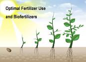 Optimal Fertilizer Use and Biofertilizers Powerpoint Presentation
