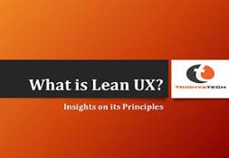 What is Lean UX Powerpoint Presentation