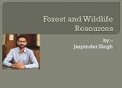 Forest and Wildlife Resources Powerpoint Presentation