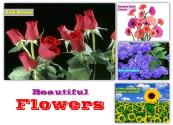 Beuatiful Flowers Powerpoint Presentation