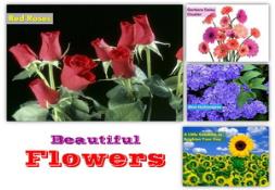 Beuatiful Flowers Powerpoint Presentation