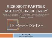 Microsoft Partner Agency-Consultancy Powerpoint Presentation