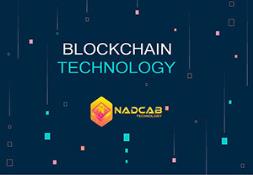 Best Blockchain Software Developer Powerpoint Presentation