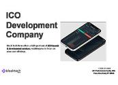 ICO Development Company Powerpoint Presentation