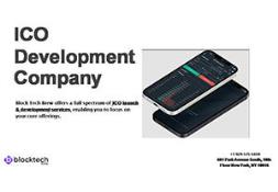ICO Development Company Powerpoint Presentation
