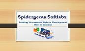 Spidergems Softlabz Powerpoint Presentation