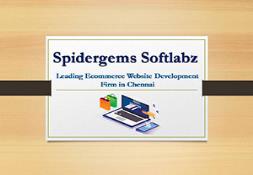 Spidergems Softlabz Powerpoint Presentation