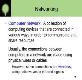 About Networking Powerpoint Presentation
