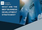 What are the Best Business Development Strategies Powerpoint Presentation