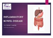 Inflammatory Bowel Disease Powerpoint Presentation