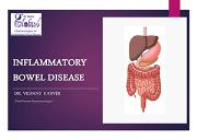 Inflammatory Bowel Disease Powerpoint Presentation