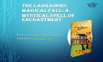 Sharon Blake PowerPoint Presentation