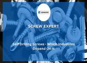 Self Drilling Screws-Industries Rely On Powerpoint Presentation