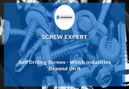 Self Drilling Screws-Industries Rely On PowerPoint Presentation