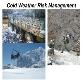Risk Management  Powerpoint Presentation