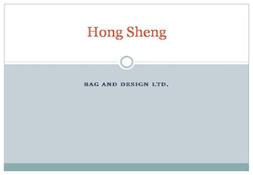 Professional  Bags Manufacturer PowerPoint Presentation