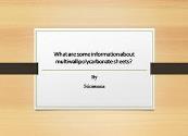 What are some information about multiwall polycarbonate sheets Powerpoint Presentation