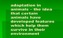 Adaptation in animals (the idea that certain animals) PowerPoint Presentation