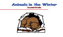 Animals in the Winter Second Grade PowerPoint Presentation