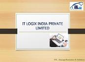 Itlogix in India Powerpoint Presentation