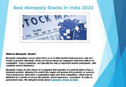 Best Monopoly Stocks In India Powerpoint Presentation